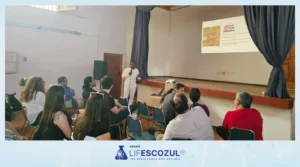 LifEscozul Chile SPA ON Channels in the Valley VII 2025