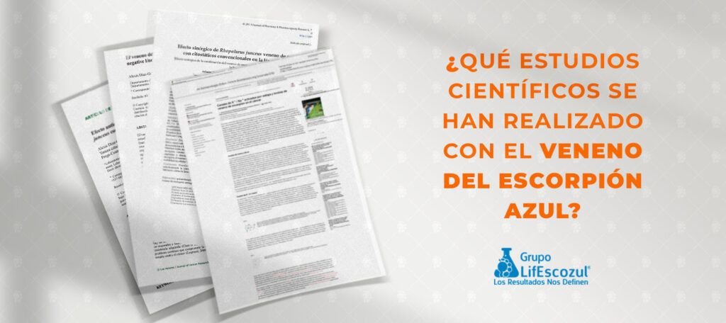 Veneno del escorpión azul: estudios que confirman sus efectos en el cáncer