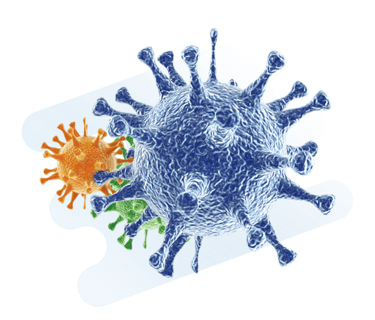Cáncer de Hígado