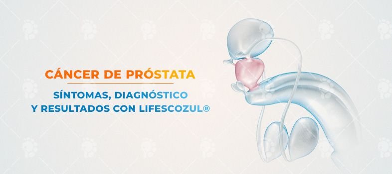 Cáncer de próstata