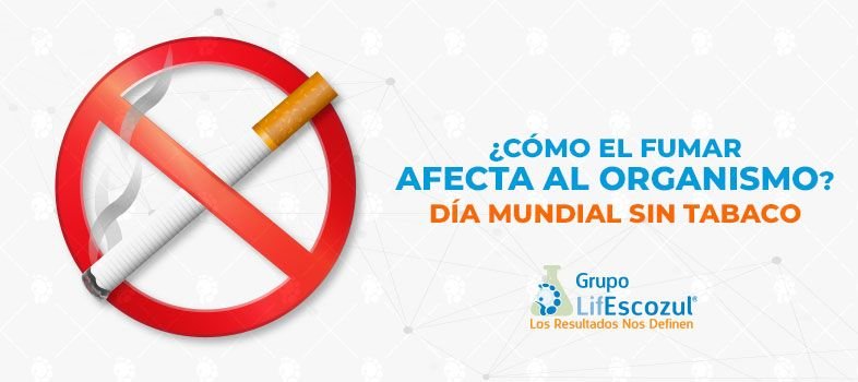 Día mundial sin tabaco: ¿Cómo el fumar afecta al organismo?