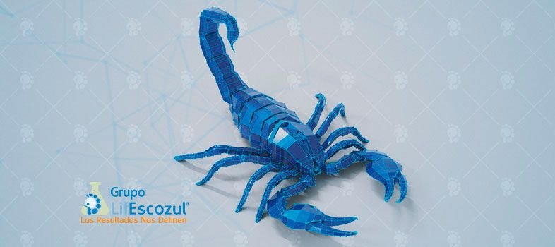 ¿QUÉ ENFERMEDADES CURA EL VENENO DEL ESCORPIÓN AZUL? LIFESCOZUL®