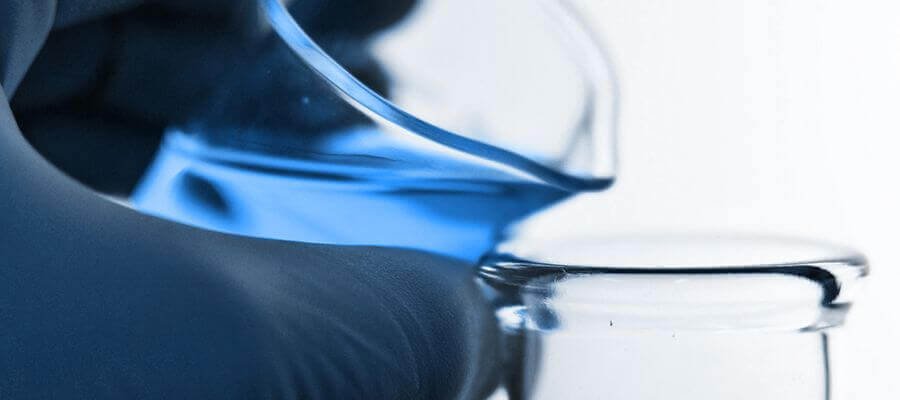 Escorpiones: Conociendo un poco más