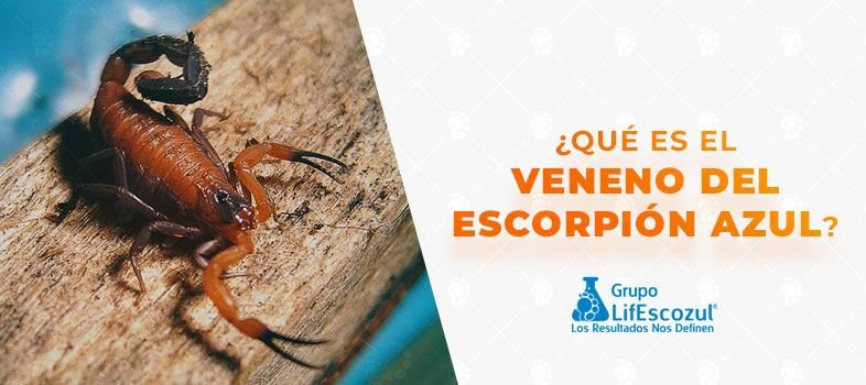 ¿Qué es el veneno del escorpión azul?