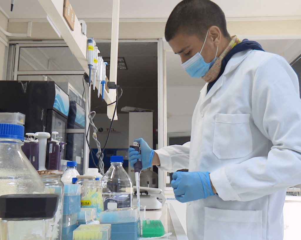 Científicas investigan veneno de  escorpión azul para tratar el cáncer