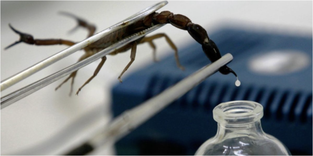 Desarrollo científico de Escozul: LifEscozul colabora con el Tecnológico de Monterrey